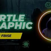 Turtle Graphics In Python Grade 11 Federal Board Islamabad 1styear Pythonprogramming Class11fbise