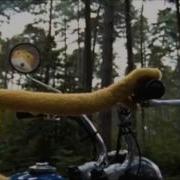 Flat Eric Monky
