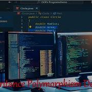 13 Demo Programs Of Inheritance And Polymorphism Programming In Java Problem Solving Approach