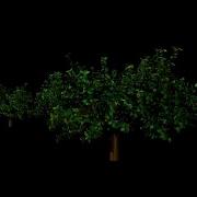 Procedural Tree In Houdini Using For Loops