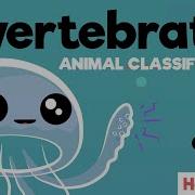 Animal Classification The Invertebrates Song