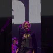 The Cardigans Carnival Machaca Fest Icons Edition Monterrey 2026