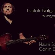 Haluk Tolga İlhan Nesini Söyleyim Canım Efendim