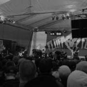 DEFEATER The Bite And Sting Fluff Fest July 20 2012