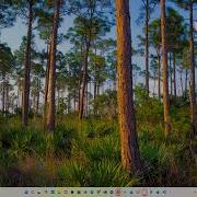 Statistics With Python For Data Science Complete Beginner To Advanced Course