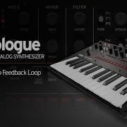 Korg Monologue Quick Tip Audio Feedback Loop