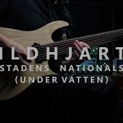 Vildhjarta Måsstadens Nationalsång Under Vatten Guitar Cover