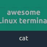 Awesome Linux Terminal Cat Command