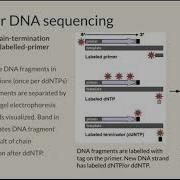 Next Generation Sequencing