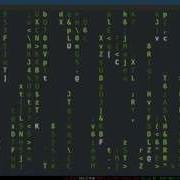 Bash Scripting 3 Variables And Quoting