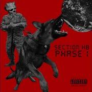 Section H8 Phase One Full Album