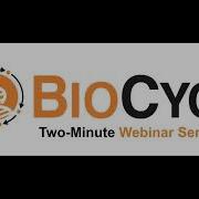 Produce A Multiple Sequence Alignment