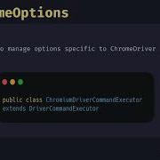 Org Openqa Selenium Chrome ChromeOptions With Example