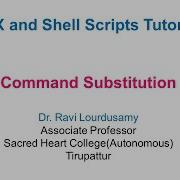 Shell Scripting Demonstration Mastering Command Substitution