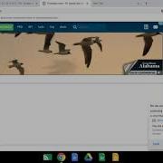 Basic Coding Batch Based Cmd Echo Lesson