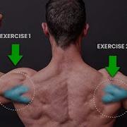 The ONLY 2 Exercises You Need For Rear Delts NO SERIOUSLY