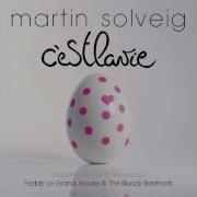 Martin Solveig I Want You Radio Edit