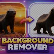High Quality Image Background Removal In Python Professional GUI GPU Acceleration