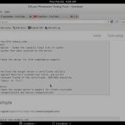 SSLyze Fast SSL Scanner To Detect Weak Ciphers Kali Linux