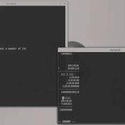 Signed Numbers And Negative Values Scala Basics
