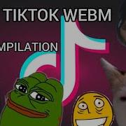 ПОДБОРКА МЕМОВ ИЗ ТИКТОК TIKTOK WEBM COMPILATION 27