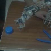 Automatic Arm Using Inverse Kinematics And Image Processing