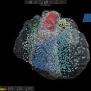 VR Omics Creating 3D Spatial Transcriptomics Data