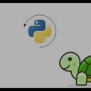 Python Turtle Drawing A Circle