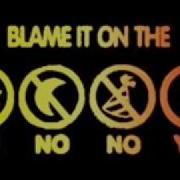 Blame It On The Boogie