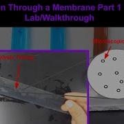 Diffusion Through A Membrane Virtual Lab Walkthrough Part 1 Living Environment