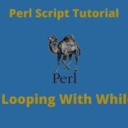 Looping With While Statements In Perl Perl Script Basics Tutorial Part 31