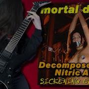 MORTAL DECAY Decomposed With Nitric Acid Guitar Cover