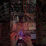 The Ten Minute Patch 4ms Catalyst Sequencer Winter Plankton Zaps SSF Triptych
