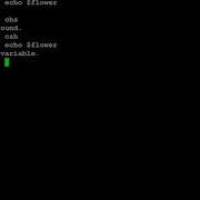 Linux C Shell Variable Demo Redirection And Variables