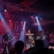 Shark Attack Bringin It Down 2019