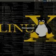 Best Screen Recorder For Linux