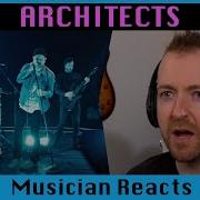 Musician Reacts To ARCHITECTS When We Were Young