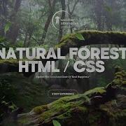 Создание красивого сайта с 3D эффектом Parallax HTML CSS
