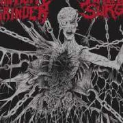 Mammoth Grinder Pulverizer