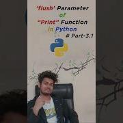 Flush Parameter Of Print Function Python Print Function Parameter Parameters Explained Shorts