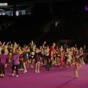 World S Largest Flash Mob Visalus Sciences