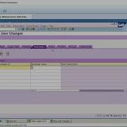 Creating Mass Users On SAP