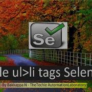 How To Select Ul Li Tags Bootstrap Dropdown In Selenium WebDriver