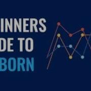 Barplot Using Seaborn In Python Exploratory Data Analysis DEEP MATRIX