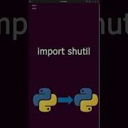Copying Files With Python Python Coding