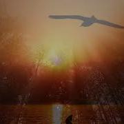 Missing Vangelis