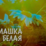Ромашка белая лепесточки нежные Арт группа Ларго