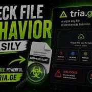 Analyze Any File In Minutes With Triage Malware Behavior Made Easy