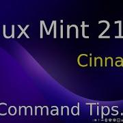 Linux Mint 21 2 Cinnamon Having Fun With The Cal Command