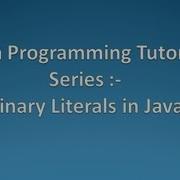 Binary Literals In Java